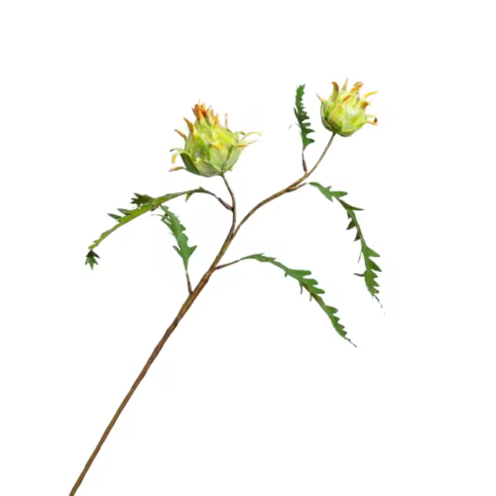 Flor emperador Artificial de 2 cabezas, 59cm, rama realista de Protea Cynaroides, flores falsas de lujo hechas a mano, decoración de jardín al aire libre - 1