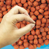 Señuelo de pesca suave con olor, alimentador de cuentas de bola flotante para pesca de Tilapia y carpa cruciana - details 4