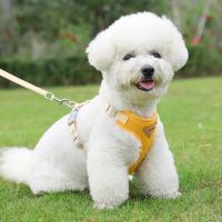 Conjunto de Correa de arnés para cachorros Correa de pecho transpirable para perros y gatos - details 22