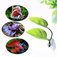 Decoración de Acuario Betta Hoja de Descanso de Pescado en Forma de Beta - details 1