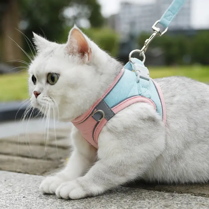 Suministros para gatos, correa reflectante para el pecho para mascotas, conjunto de correa para perro antiescape transpirable, chaleco tipo arnés para gato ajustable sin tirones para cachorros - 1