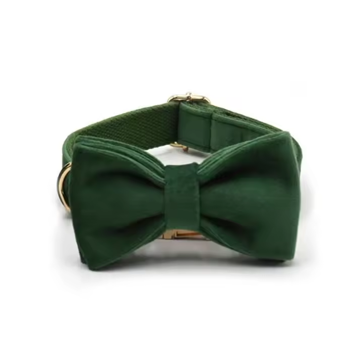 Terciopelo Verde Pavo real Grabado, Conjunto Correa de arnés Perros personalizado, Collar able sin escape para mascotas con - 1