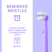 Cabezas de Cepillo Dental Eléctrico de Precisión Multicolor Compatibles con Oral B Profesional Care 500, 550, 1000, 3000 Material de Plástico Hecho en China - details 5