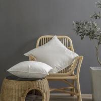 Elegante Almohada de Plumas de Ganso Almohada de Memoria Saludable Antibacteriana - details 3