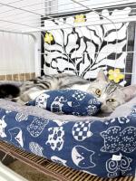 Cama suave y cálida para gato, colchón para mascotas, nido de algodón para perros pequeños, medianos y grandes, esterilla para cesta de invierno - details 7