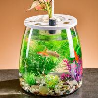 Recinto para tortugas, pecera transparente pequeña, terrario de tortuga de plástico inastillable con tapa, tanque de peces dorados, decoración del hogar - details 1