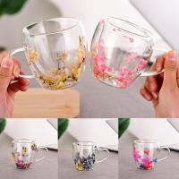 Taza de vidrio de relleno de flores secas, taza creativa con asas, taza de café de doble pared, taza resistente al calor - details 5