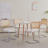 Juego de sillas de comedor Retro Para el hogar, taburete tapizado de plástico de ratán, escritorio de dormitorio, respaldo, arco, ordenador y oficina, 2 unidades - details 2
