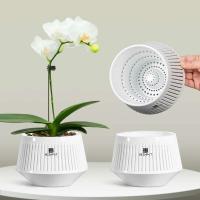 Redes de orquídeas con agujeros, bandejas de té, replantación de plantas, ETA para jardines con buena drenaje interior y exterior. - details 1