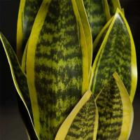 Planta de serpiente artificial Sansevieria, 32/37 cm, halcón verde, aloe vera, cera, lirio, lámina de plástico, lengua de dragón falsa para - details 2