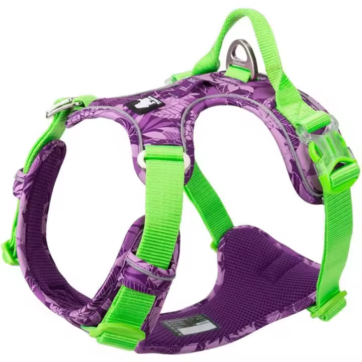 Correa de Nylon Suave Reflectante para Mascotas No Tira, Inestable para Perros Pequeños y Grandes - 1