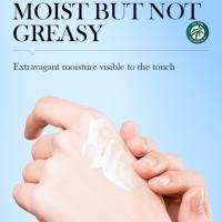 Loción para el acné del árbol del té, cuidado facial antiacné, crema hidratante de día y de noche para mujeres y hombres - details 4