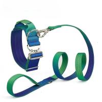 Juego Collar correa perro nailon resistente, cuerda entrenamiento mascotas ustable sin tirar con cierre Metal para caminatas de - details 3
