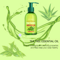 El árbol del té mejora las puntas abiertas, la sequedad y nutre el cabello, aceite esencial para el cuidado del cabello sin lavado - details 6