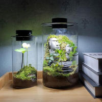 Lámpara de cultivo de plantas de terrario USB regulable con temporizador para jarrones, crecimiento de plantas de interior, suculentas, paisaje de jardinería en miniatura - details 10