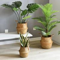 Cestas de almacenamiento Naturales de algas marinas, maceta de flores de estilo nórdico, cesta de plantas, bolsa de cultivo tejida de paja, maceta colgante, decoración del hogar - details 15