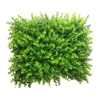 Tapete para plantas artificiales de 40x60cm, valla de césped de pared verde, panel Foley, decoración del hogar, plantas falsas, césped de jardín simulado - details 7