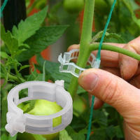 Aplicador de soporte para tomate, hebilla para planta de melón vegetal, Clip de plástico, carpeta de corbata, flexibilidad, no daña las plántulas, 50 piezas - details 0