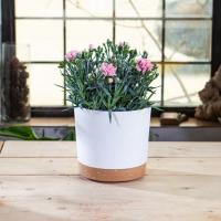 Macetas ligeras y grandes para plantas de interior y exterior, macetas de plástico grandes con drenaje - details 7