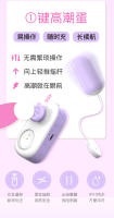 Juguetes sexuales, huevos vibrantes, control remoto, juguetes sexuales para adultos femeninos - details 3