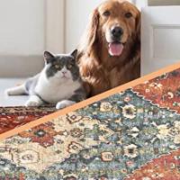 Las alfombras son aptas para mascotas