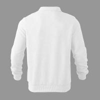 24 polos informales sueltos de manga larga con cuellos y cremalleras, adecuados para la moda masculina transfronteriza en otoño - details 4