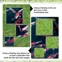 Separa plantas flotantes, valla ajustable con nivel de agua, tubo flotante acrílico para decoraciones de jardín - details 1