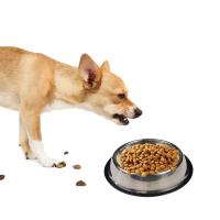 Tazón de Mascotas de Acero Inoxidable A Prueba de Resbalones, Anti-Alimentos, Disco de Agua para Perros Suministros para Mascotas - details 9