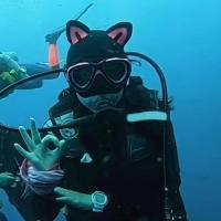 Gorros de Buceo para Hombres Cálidos, Elásticos, con Orejas de Gato Equipo de Natación Multiusos para Surf y Snorkel - details 1