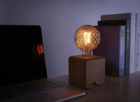 Bombillas incandescentes Vintage Edison G95, Bombilla de diamante, ardilla, corazón de cinco estrellas, espiral, filamento de 40W - details 7