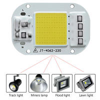 LED COB Hight Power 50W AC 220V Red Blue Green Lamp Chip Smart IC Fit For DIY Driverless Integrated Driver For Flood Light - details 8