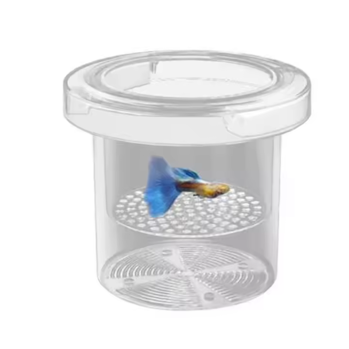 Caja de aislamiento de cría de peces flotante acrílica, suspensión transparente, alimentador de acuario, alimentación Ornamental - 1