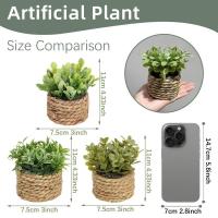 Plantas artificiales de Eulyptus, material de pila de hierba tejida de 11cm, decoración del hogar - details 3
