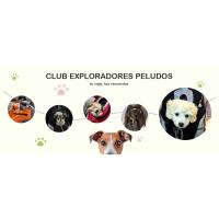 ALLSOPETS