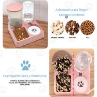 Alimentador automático para gatos, juego de dispensador de agua 2 en 1, Alimentador automático inclinado para mascotas - details 4
