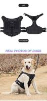 Perro táctico con correa de asa, accesorio militar para caminar perros Rottweiler, arnés para cachorros medianos y grandes - details 14