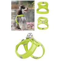 Correa para Mascotas Truelove Nylon Transpirable para Perros Pequeños y Medianos - details 14