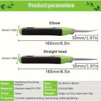 Tijeras de podar para jardinería, herramientas de jardín, tijeras para bonsái, tijeras para jardinería, recolección de frutas y uvas, herramienta de podar en maceta para el hogar, 1 ud. - details 5