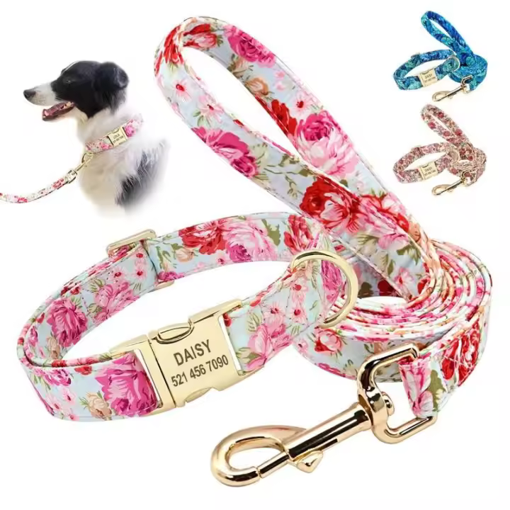 Collar nailon con estampado personalizado perro, conjunto correa mascota, placa de identificación grabada gratis para perros - 1