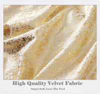Funda de Cojín de Terciopelo Dorado 30x50/45x45/50x50cm Decorativa para Sala de Estar Cama de Auto Estilo de Lujo Material de Alta Calidad - details 0