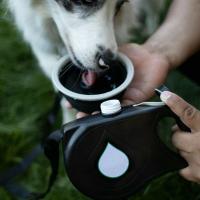 Correa retráctil desmontable para perro, correa de plástico con cuenco de agua, correa de mano para perro, botella de agua integrada, cuerda de tracción para perro, entrenamiento - details 2