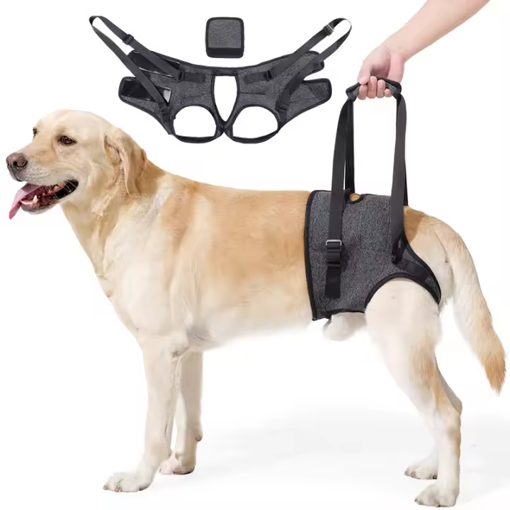 Arnés de soporte de pierna trasera ajustable para perros mayores/discapacitados - Ayuda de movilidad con correas transpirables - 1