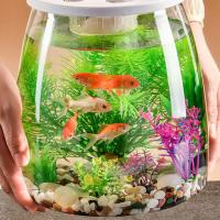 Recinto para tortugas, pecera transparente pequeña, terrario de tortuga de plástico inastillable con tapa, tanque de peces dorados, decoración del hogar - details 7