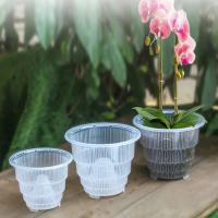 Maceta transparente de orquídeas de 10/12/15cm, macetas de orquídeas transpirables ranuradas de plástico, macetas para plantas, decoraciones de jardín y jardín - details 2