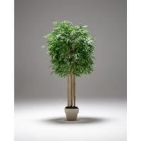 Drácula Artificial 120 cm |   Planta Artificial Decorativa Hiperrealista |   Árbol Tropical para Decoración de Hogar y Oficina |   Planta Artificial con Maceta para Interior y Exterior Cubierto - details 8