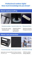 Lámpara LED de pared moderna para exteriores, Faro de puerta impermeable, negro, inoxidable, para puerta de entrada de Villa - details 10