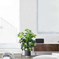 Gran Planta Tropical Falsa Cabeza de 75cm, Hojas de Monstera, Jungla de Plástico, Palma Falsa - details 5
