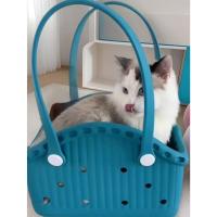 Bolsa de transporte para perros de EVA transpirable, bolsa de transporte para mascotas de viaje de mano de gran capacidad con diseño de cabeza con orificio, bolsa de mano portátil para gatos para mujer - details 4