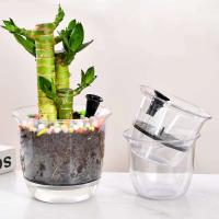 Maceta transparente de plástico con autorriego para jardín interior - details 6