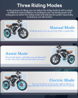 DEEPOWER S7 bicicleta eléctrica para adultos 2000W bicicleta eléctrica de carretera 48V 55Ah Fatbike MTB E-bike 20 "bicicleta eléctrica de montaña 55 KM/H velocidad máxima - details 2